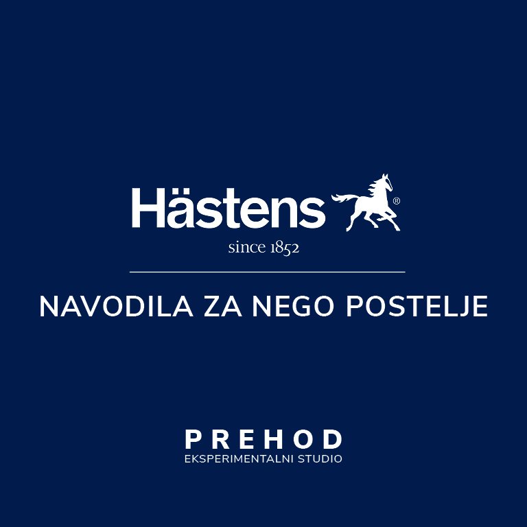 <h3>HÄSTENS NAVODILA</h3><br>
